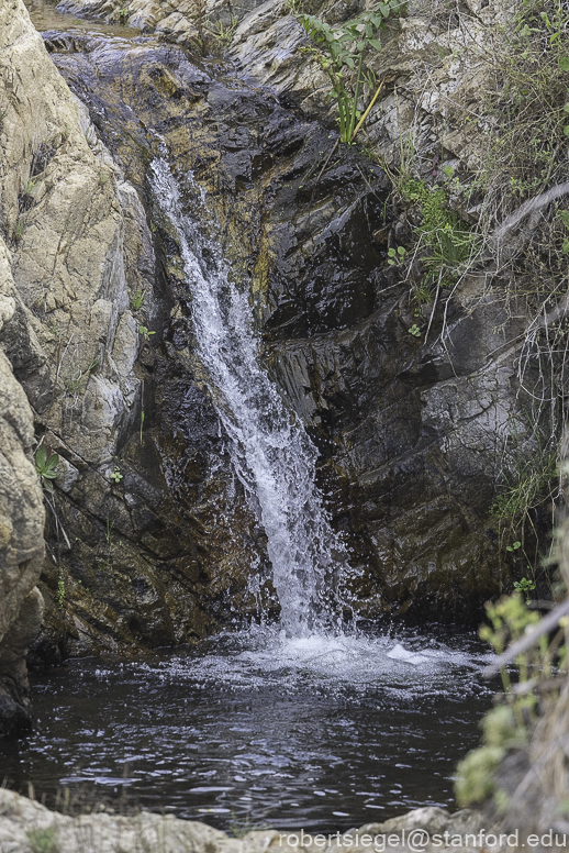 Garrapata State Park